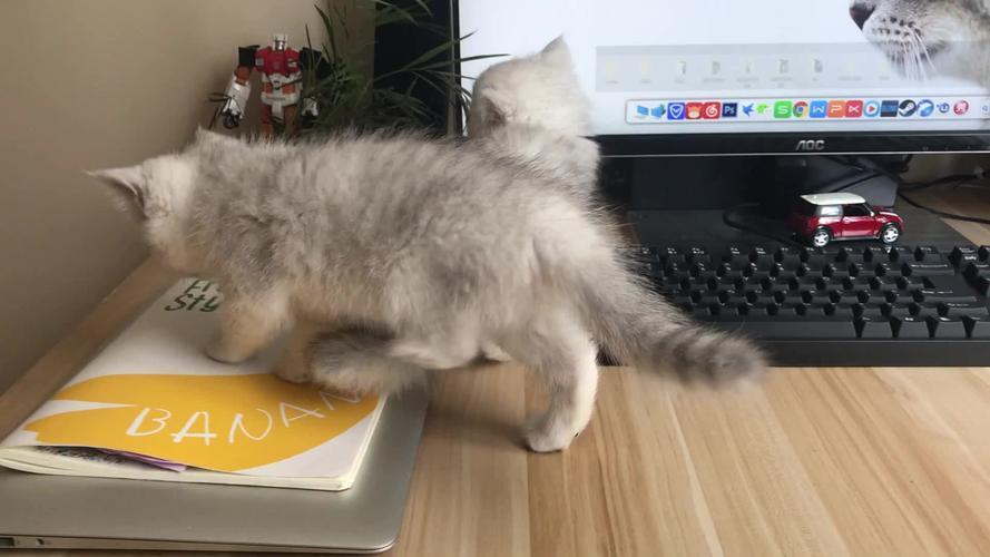 些几(些几广东话是什么意思)