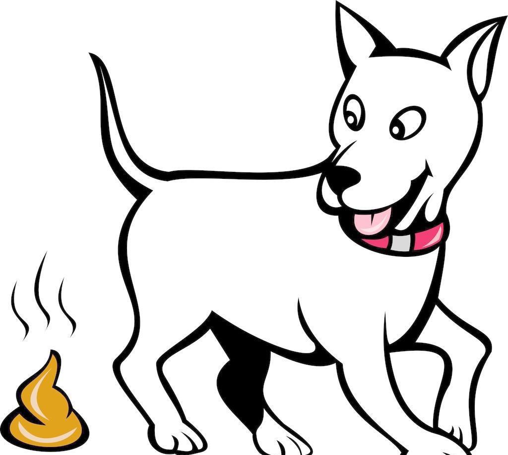 右脚踩到狗屎征兆(女人右脚踩到狗屎的预兆)