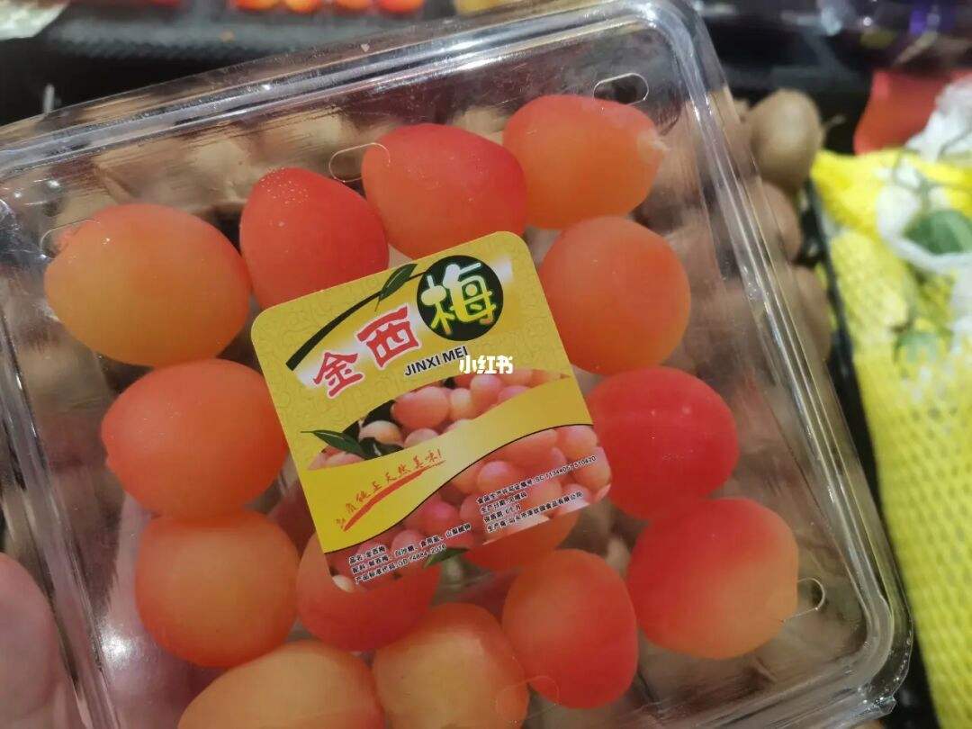 金西梅是什么水果(金西梅是什么水果百度) 金西梅是什么水果(金西梅是什么水果百度)