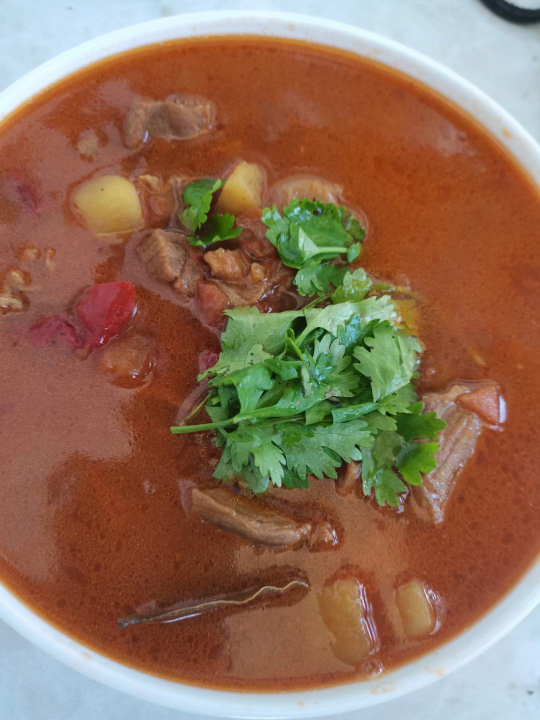 西红柿烧牛肉(西红柿炖牛肉要炖多久) 西红柿烧牛肉(西红柿炖牛肉要炖多久)