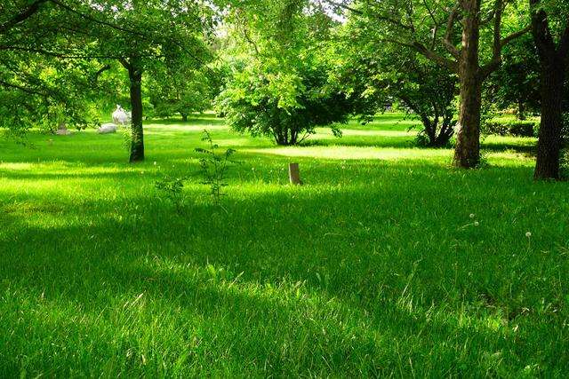 川芎嗪怎么读(川芎嗪怎么读?) 川芎嗪怎么读(川芎嗪怎么读?)