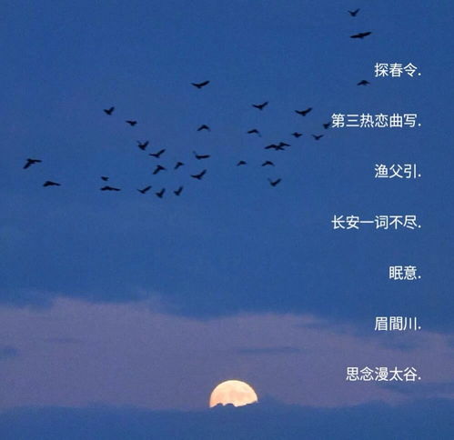 悄无声息拼音(悄无声息拼音怎么拼写读音)