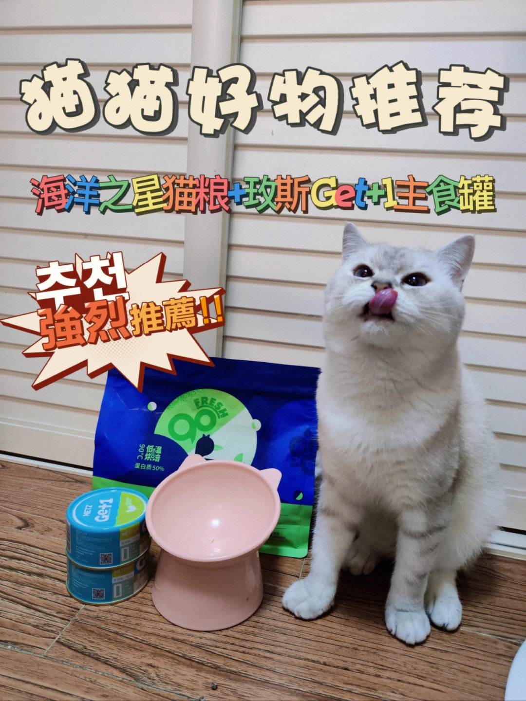 猫粮多少钱(猫粮多少钱一斤算便宜)