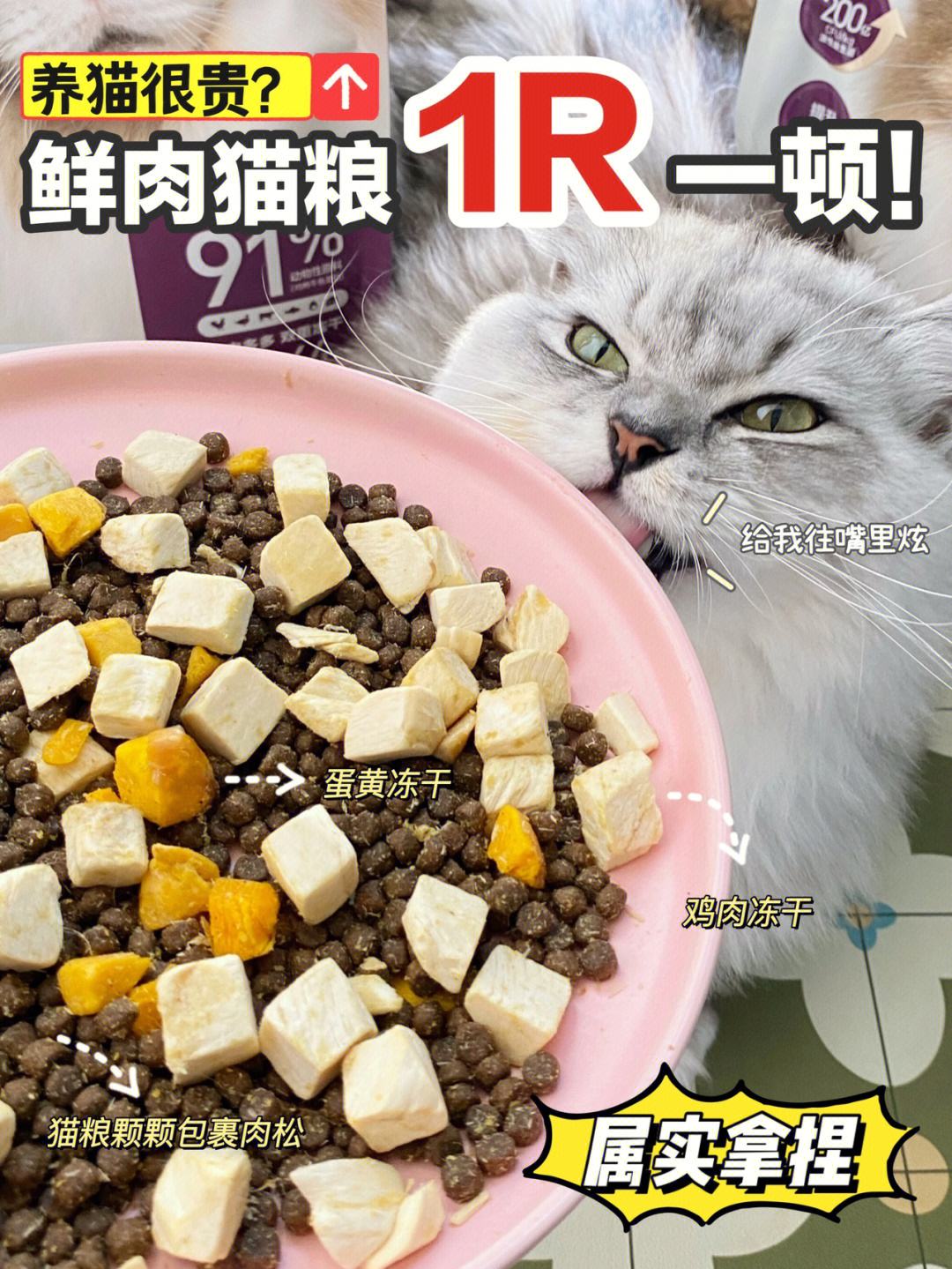 猫粮多少钱(猫粮多少钱一斤算便宜)