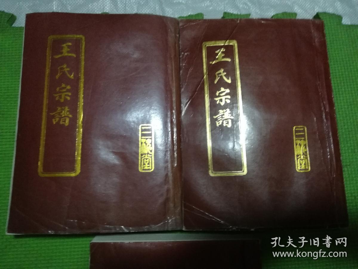 王姓家谱(贵州王姓家谱) 王姓家谱(贵州王姓家谱)