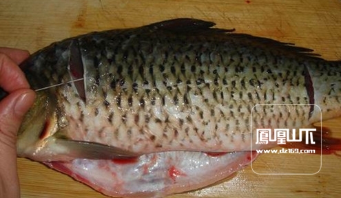 鲤鱼抽筋怎么抽(鲤鱼抽筋怎么抽出来?)