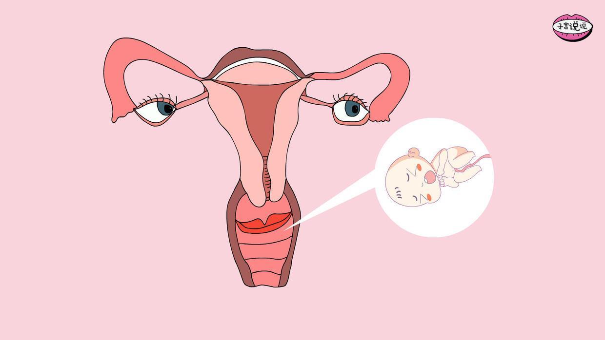 阴道实图(少女的p是怎样)