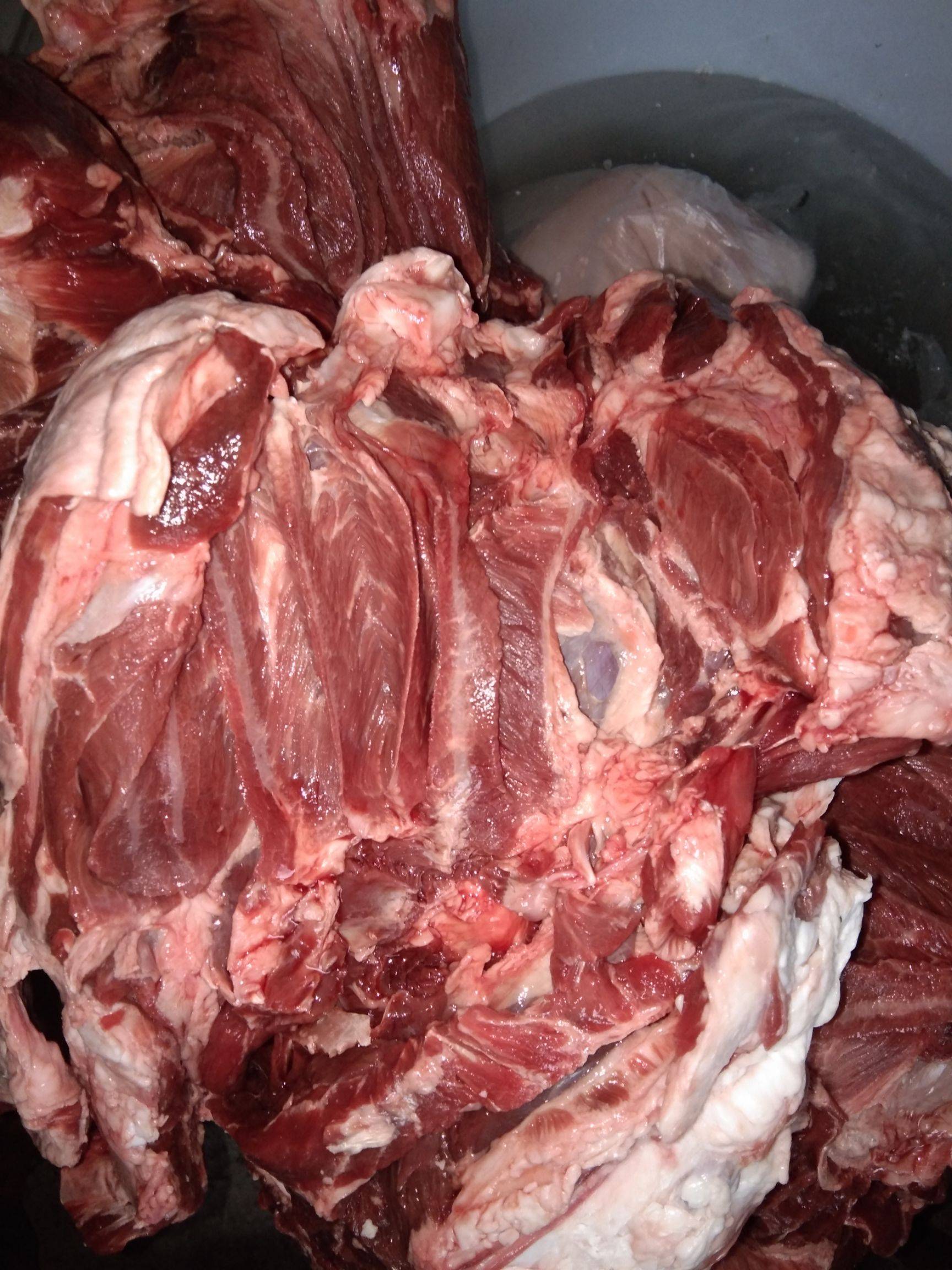 羊腿多少钱(羊腿多少钱一斤2023) 羊腿多少钱(羊腿多少钱一斤2023)