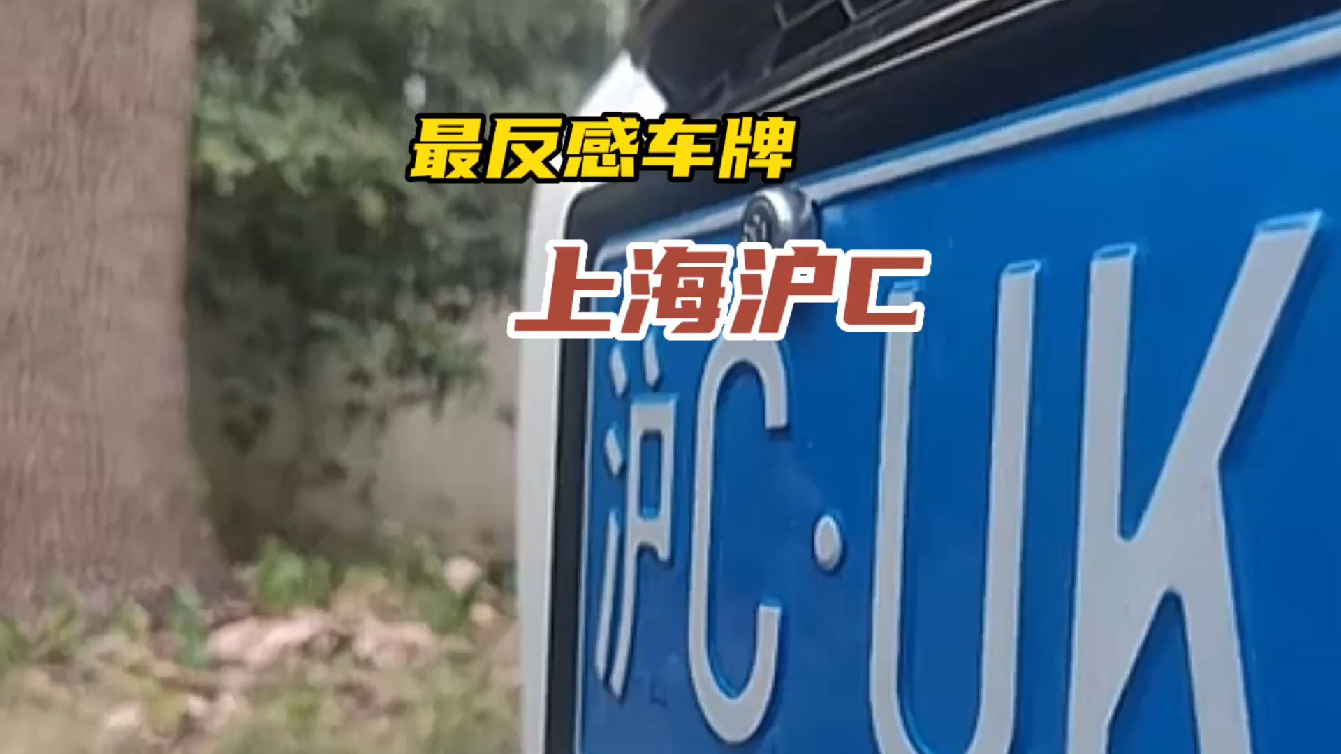 泸c是哪里(泸是什么地方的车牌) 泸c是哪里(泸是什么地方的车牌)