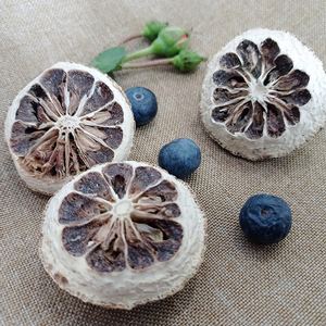 构橘(构橘树图片)