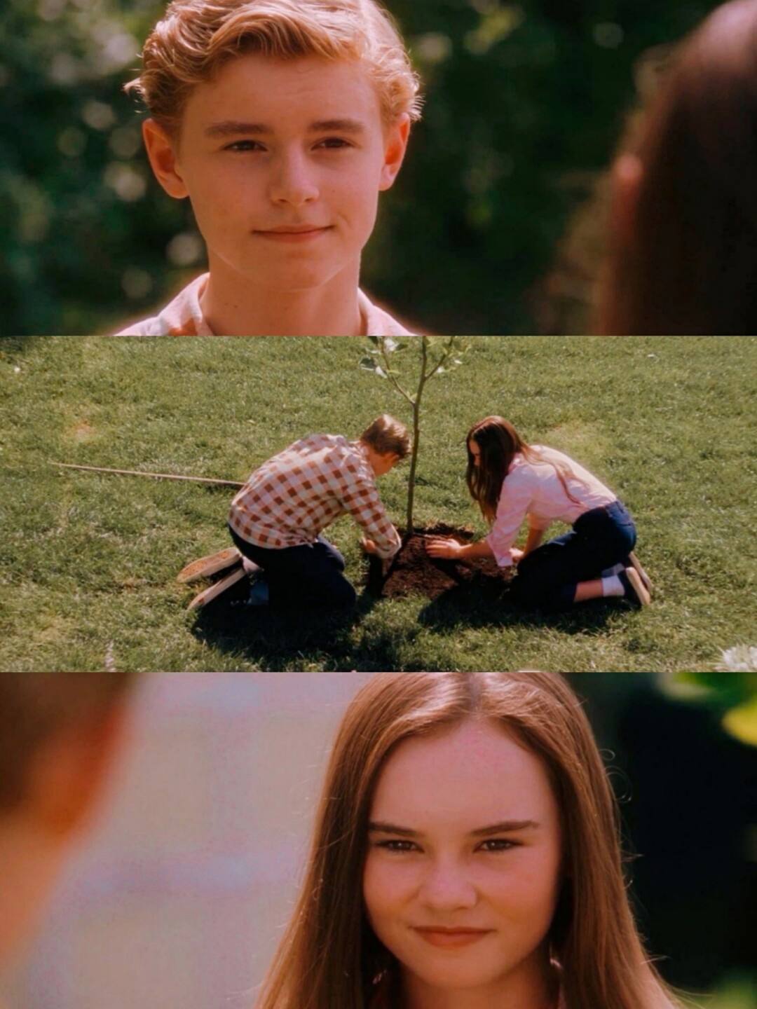 怦然心动电影简介(怦然心动电影简介英文300字) 怦然心动电影简介(怦然心动电影简介英文300字)