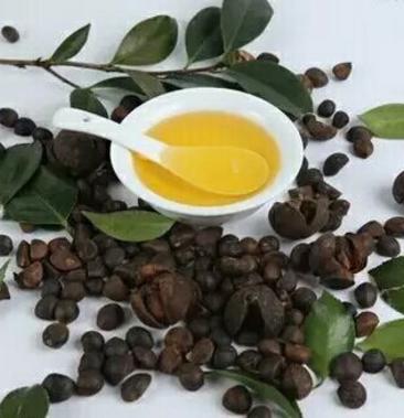 山茶油多少钱一斤(浙江山茶油多少钱一斤) 山茶油多少钱一斤(浙江山茶油多少钱一斤)