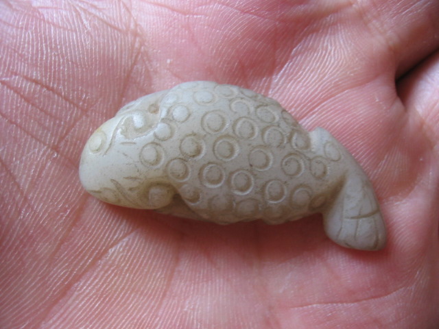 玉蟾蜍(玉蟾蜍摆放位置)