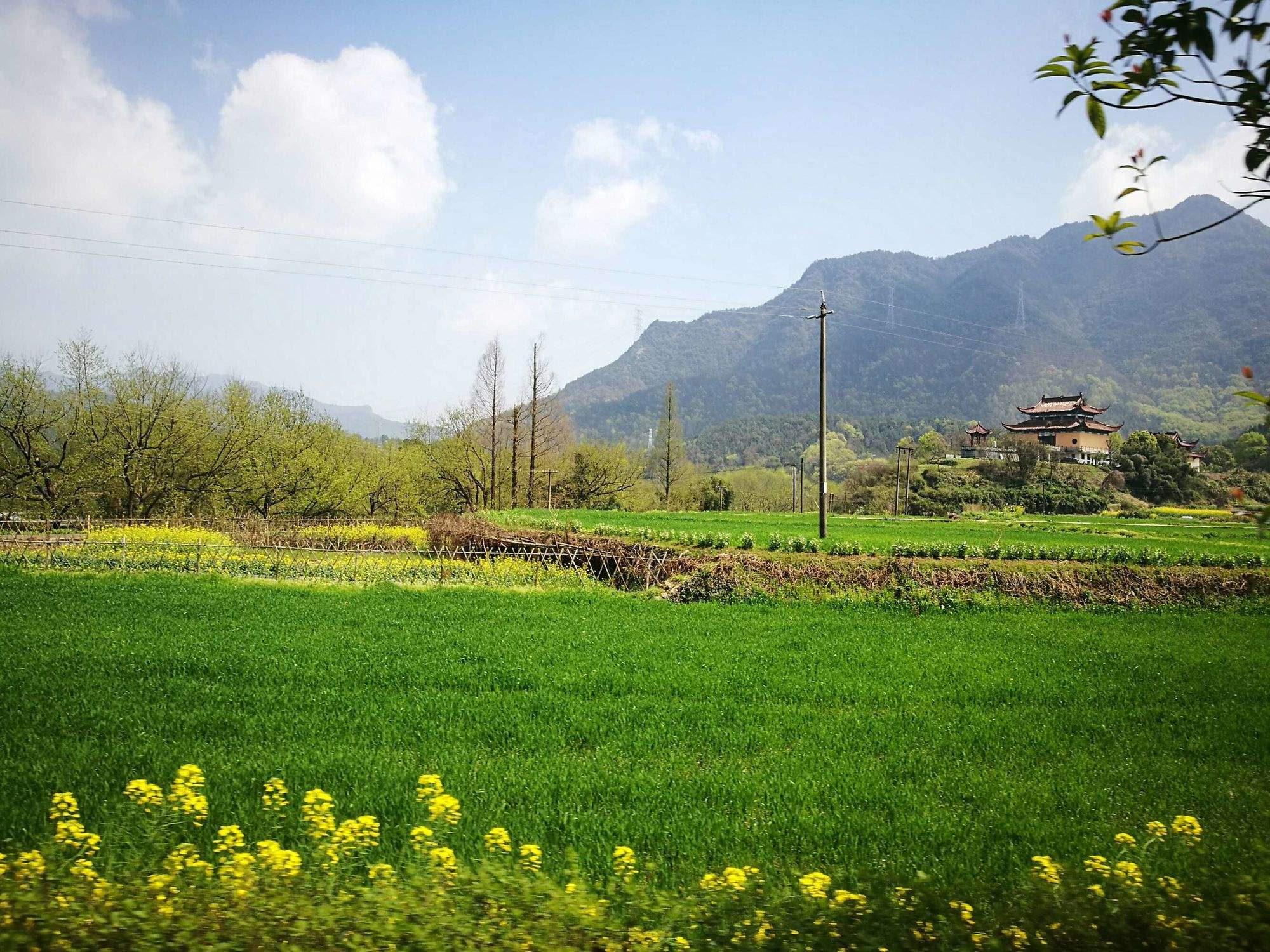 关于春回大地打一生肖的信息