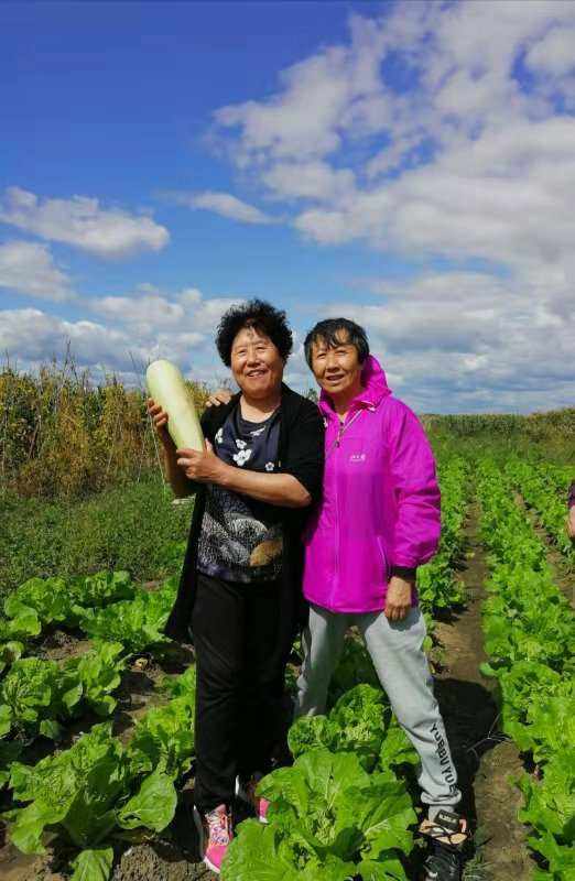 孙家田(孙家天下孙家兵成就54320)