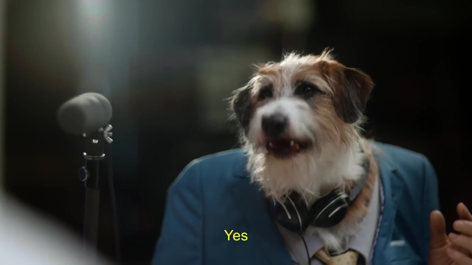 关于underdog是什么意思的信息 关于underdog是什么意思的信息