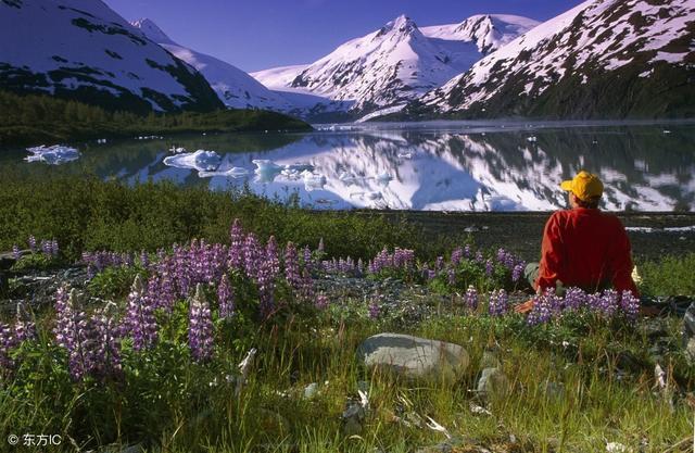 苍茫万顷连(苍茫万顷连的上一句是什么)