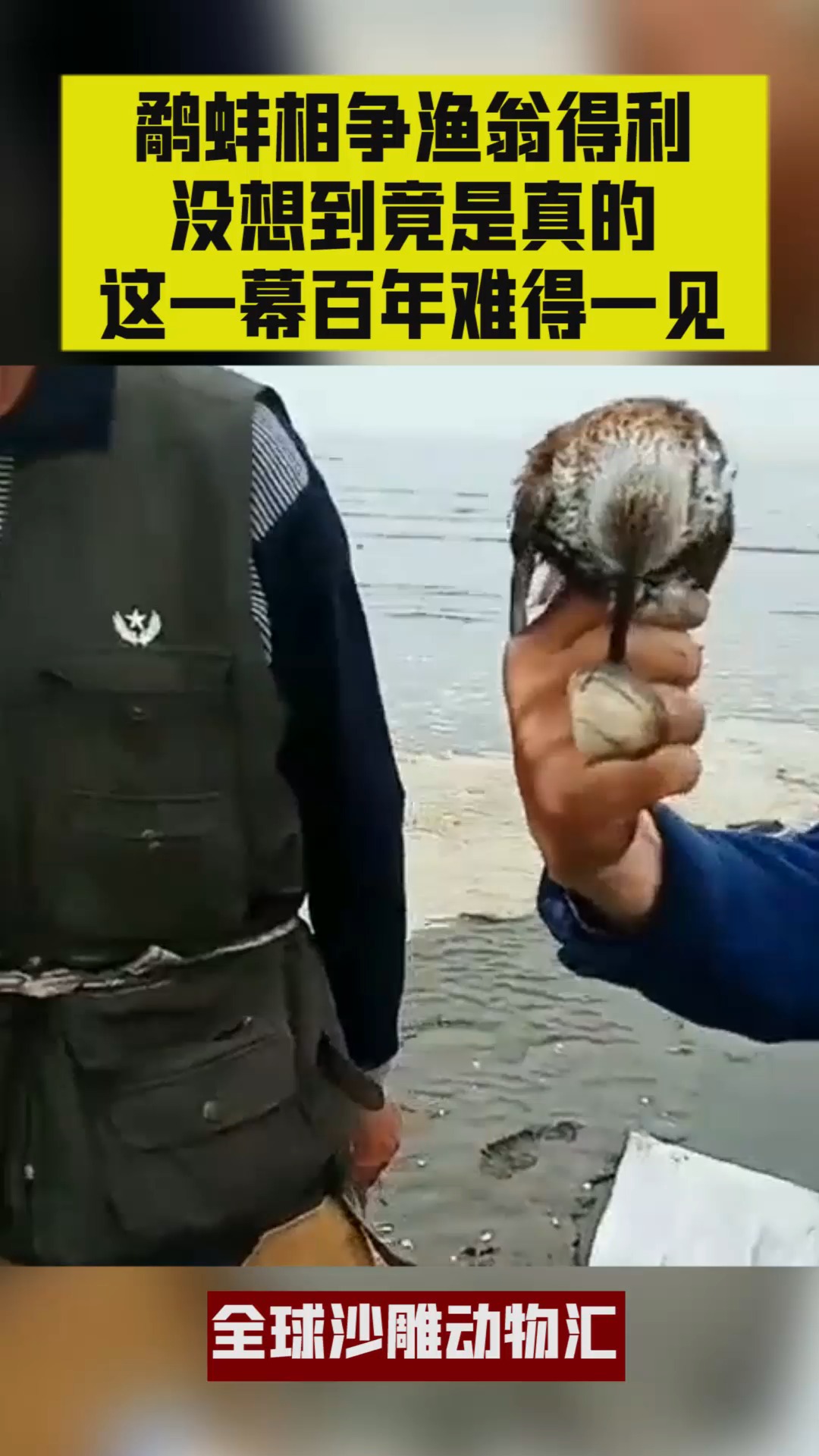 蚌相争渔翁得利(蚌相争渔翁得利的故事)