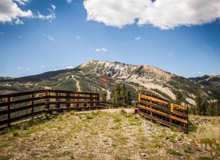 美国蒙大拿州(美国蒙大拿州城市街道名字)