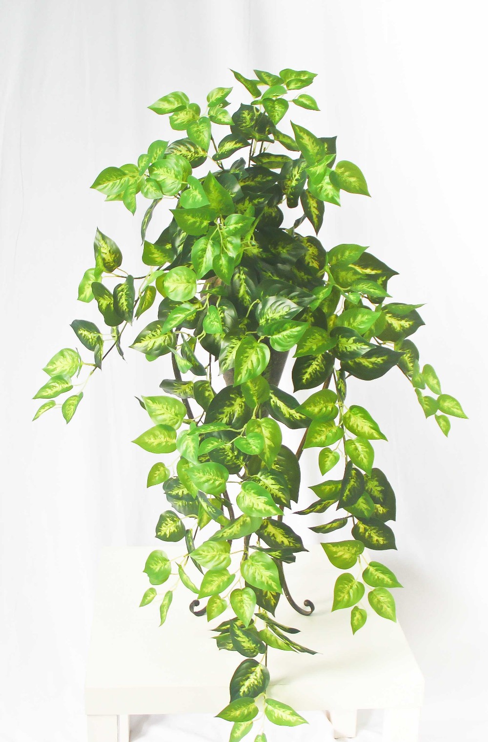 什么的藤蔓(什么的藤蔓四字成语) 什么的藤蔓(什么的藤蔓四字成语)