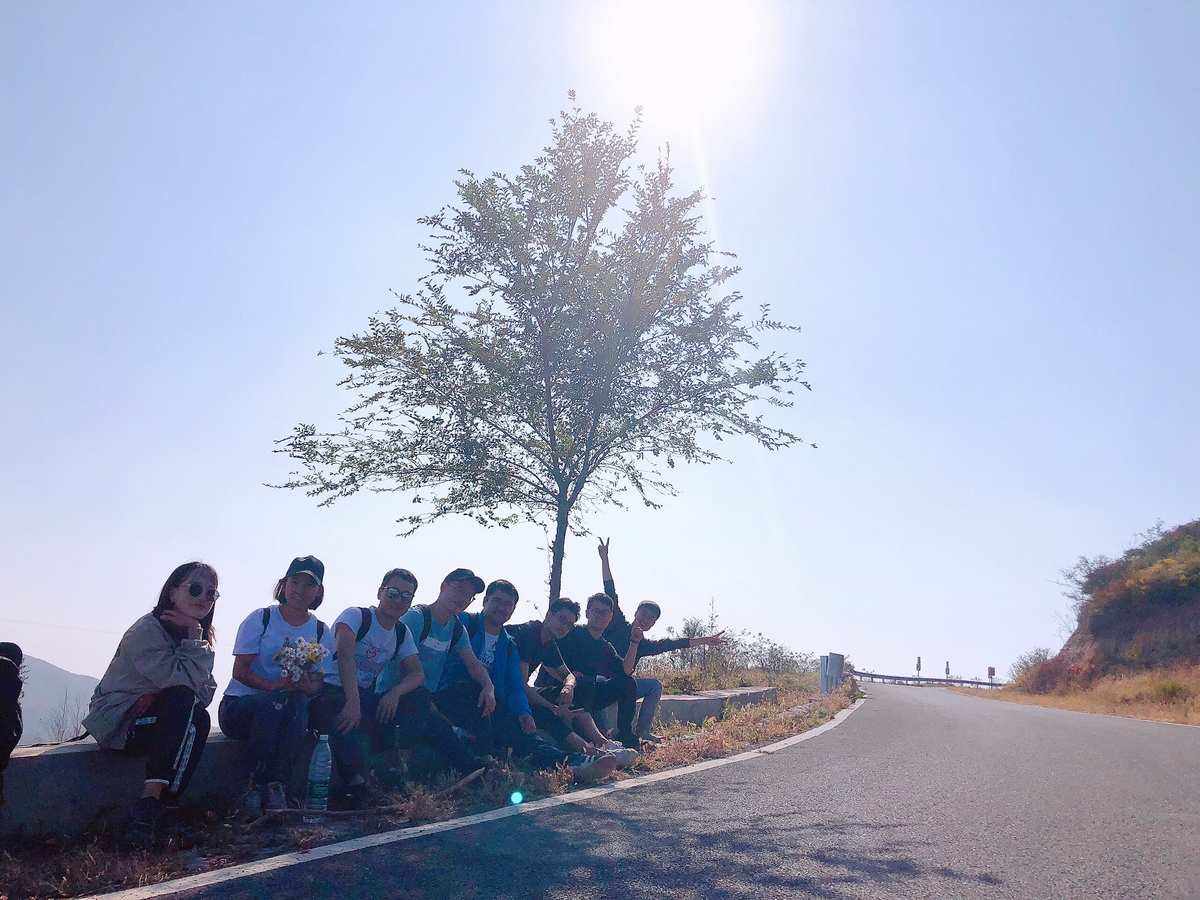 木只读什么(木只读什么音)