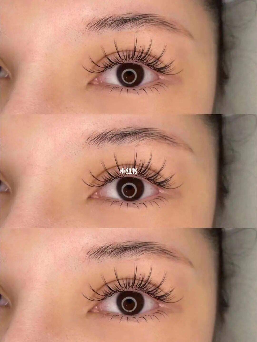 美睫怎么卸掉(没有卸胶水自己在家怎么卸睫毛) 美睫怎么卸掉(没有卸胶水自己在家怎么卸睫毛)