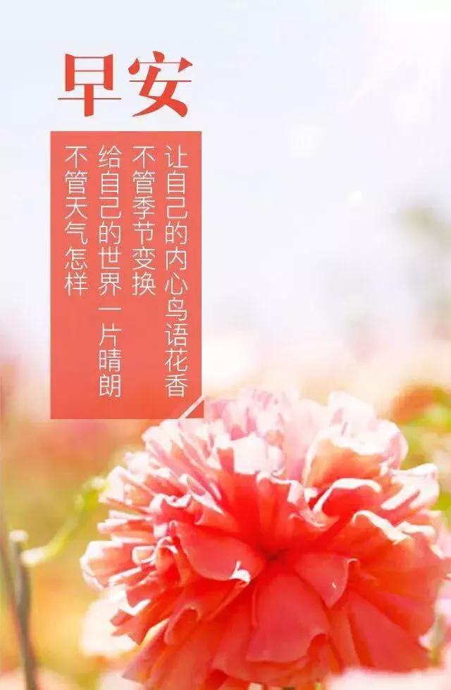 早安意思(早安意思是什么)