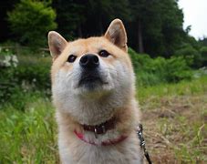 5公里是多少米(5公里是多少米多少步) 5公里是多少米(5公里是多少米多少步)