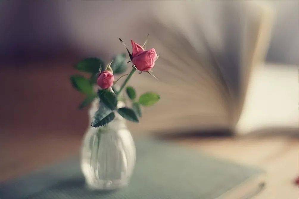 尊敬的看(尊敬的看表示看的词语有什么)