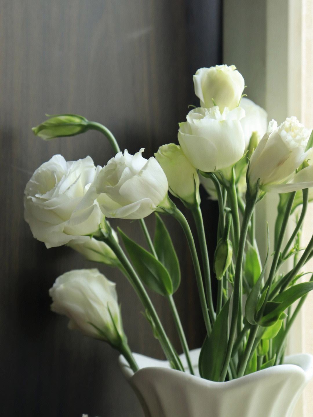 桔梗花的英文(桔梗用英文怎么写)