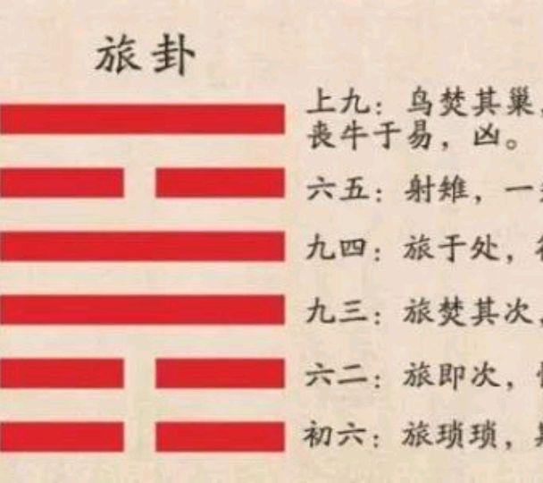 附丽的意思(附丽是什么意思) 附丽的意思(附丽是什么意思)