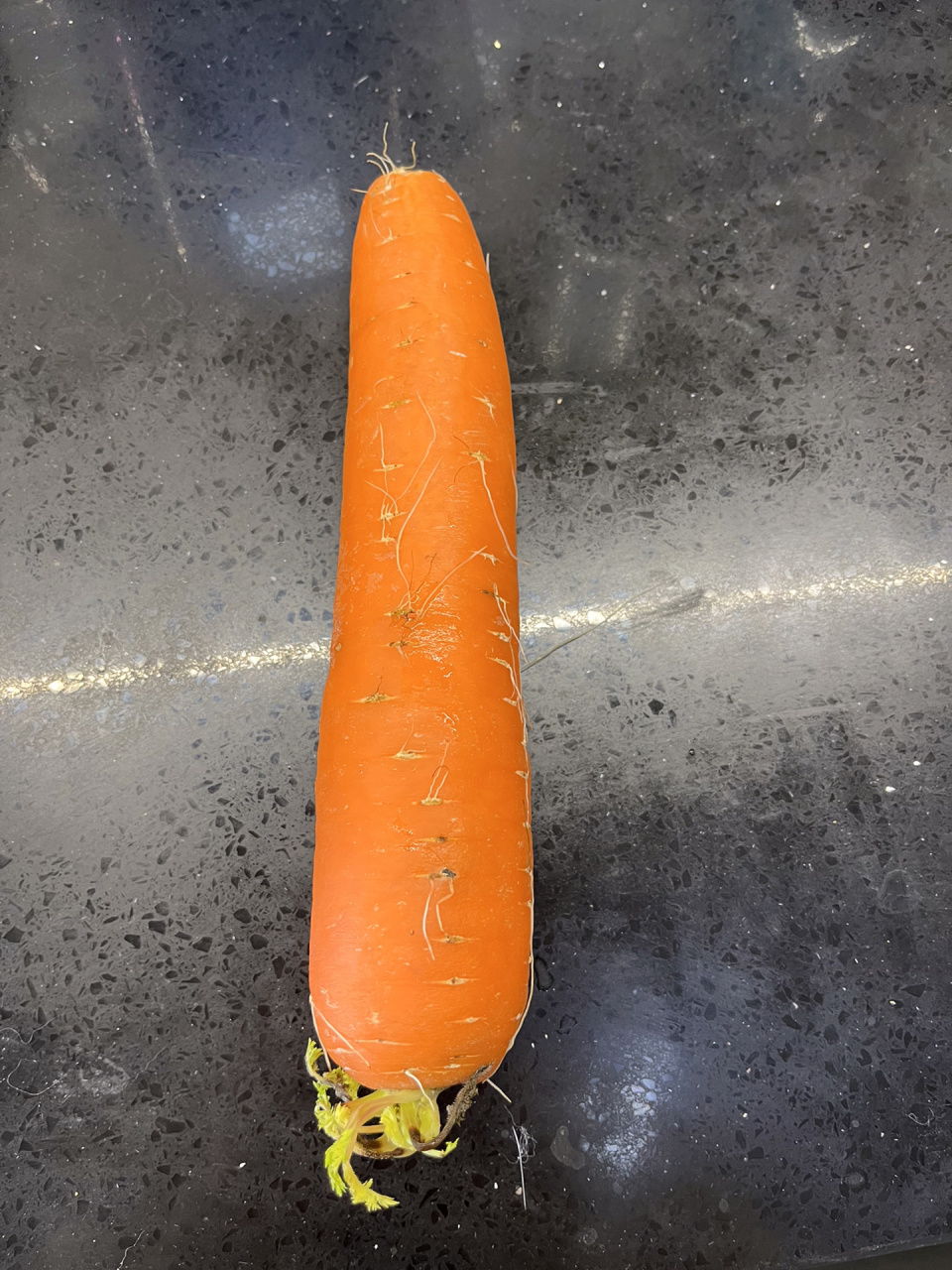 萝卜发芽能吃吗(胡萝卜放冰箱发芽了还能吃吗) 萝卜发芽能吃吗(胡萝卜放冰箱发芽了还能吃吗)