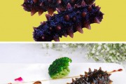 海参的功效与作用及食用方法(海参的功效与作用及食用方法禁忌)