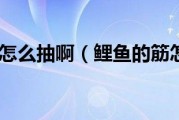 鲤鱼筋怎么抽(鲤鱼筋怎么抽出来视频)