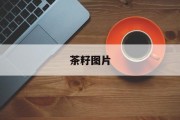茶籽图片(广东茶籽图片)