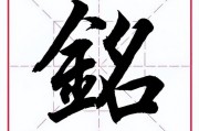 金字旁加成(金字旁加成字)
